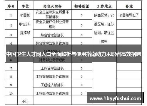 中国卫生人才网入口全面解析与使用指南助力求职者高效招聘