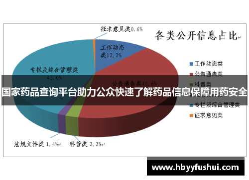 国家药品查询平台助力公众快速了解药品信息保障用药安全